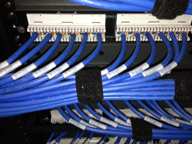 Cable terminated to rear of patch panel